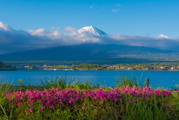 Beautiful Mountain Fuji in japan for wallpaper