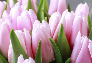 Fototapeta premium Bouquet of pink tulips