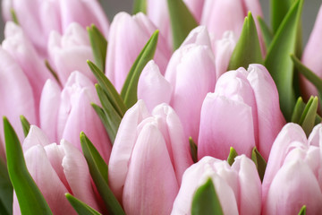 Fototapeta premium Bouquet of pink tulips
