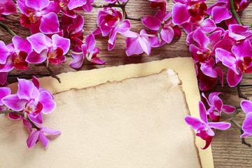 Beautiful pink orchid flowers and vintage sheets of paper