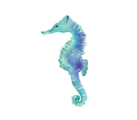 タツノオトシゴ © imgstock