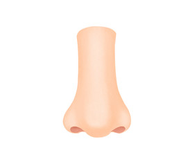 鼻