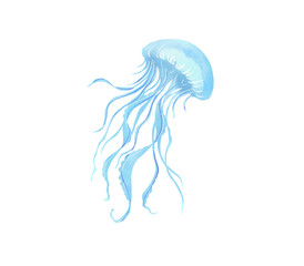 クラゲ © imgstock