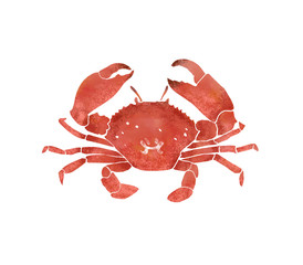蟹