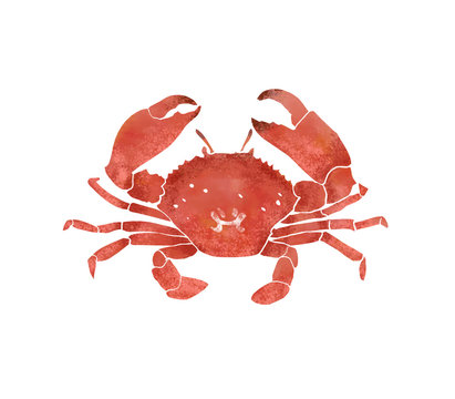蟹