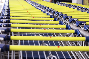 Collected in the number of shopping carts around a supermarket, blue and yellow