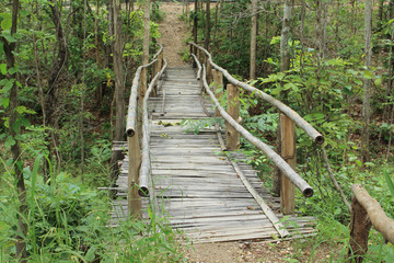 Fototapeta premium Crossing the bridge