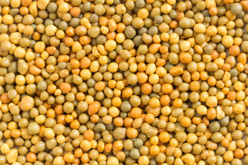 fertilizer pellets