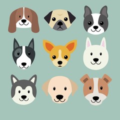 Cute dog breeds