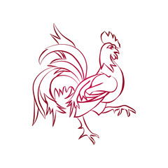 Red rooster is animal symbol of new year 2017