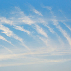 Fototapeta na wymiar Light clouds in the sky