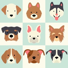 Fototapeta premium Lovely dog breeds