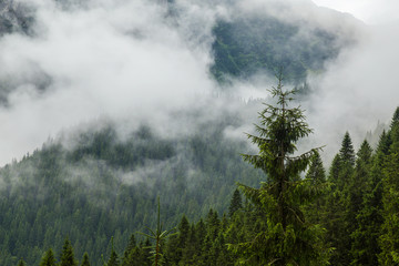 Mountain scenery in the Transylvanian Alps in summer, with mist clouds