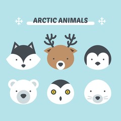 Cute arctic animals