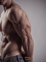 Fototapeta premium Arm and body muscles