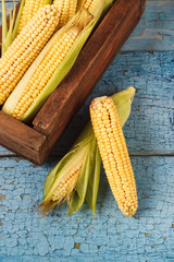 The heap of raw corn in the wooden box