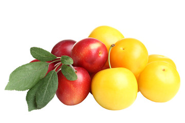 Fototapeta na wymiar yellow and red plums with leaves on white isolated background