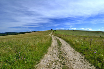 Polna droga prowadząca na szczyt wzgórza