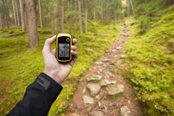 finding the right position in the forest via gps ( blurred backg