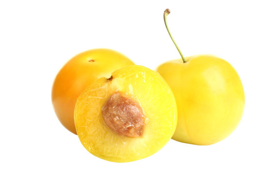 yellow plum  on a white isolated  background