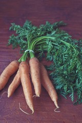 carrots on a wooden background