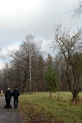 Obraz premium Autumn landscape in the Park of the Lenin hills