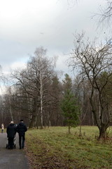  Autumn landscape in the Park of the Lenin hills