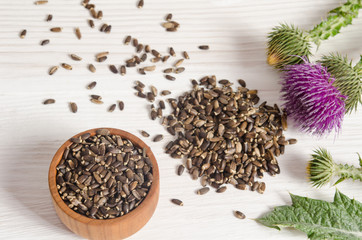 Seeds of a milk thistle with flowers (Silybum marianum, Scotch T