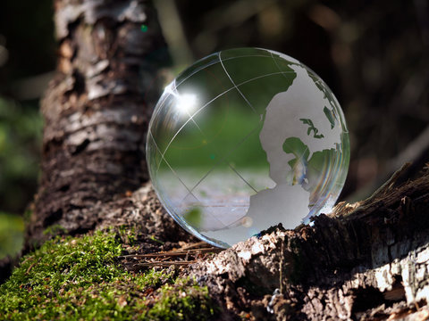 Green globe sphere in the woods on moss. The concept of ecology, the environment, the protection  forests