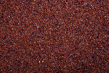 Raw red quinoa background