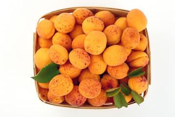 Fresh ripe apricots in wooden basket over white