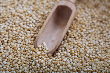 Wooden scoop and raw quinoa