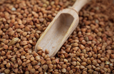 Wooden scoop with raw buckwheat