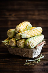 corn cobs © Sunny Forest