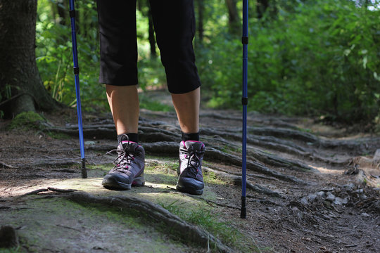 A young woman with hiking boots and walking stick goes on a forest trail 