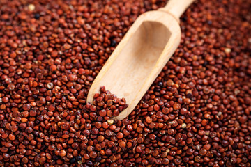 Wooden scoop and raw quinoa