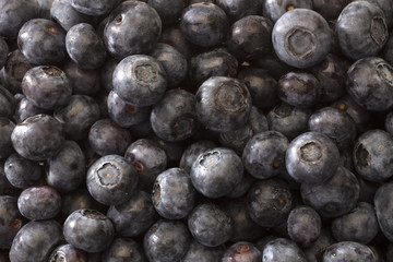 background filled with blueberries
