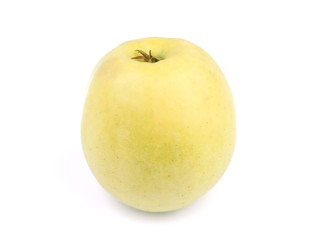 apples on a white background