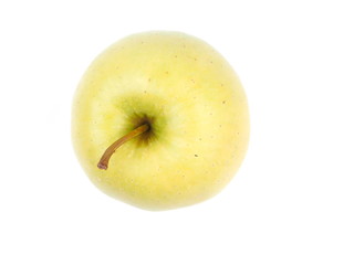 apples on a white background