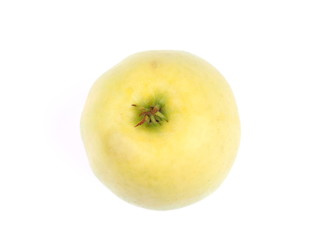 apples on a white background