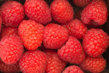 background filled with raspberries