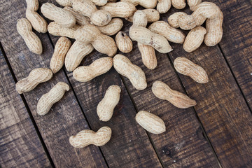 Peanut on the Wood Table