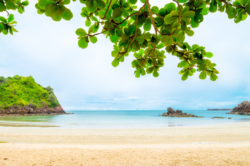 Green leaf at foreground on top at landscape view of  sand beach