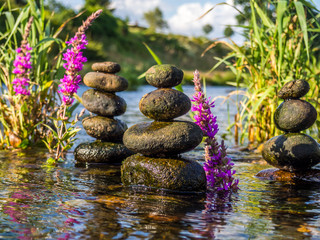 Lebensenergie Wasser