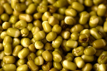 Mung bean