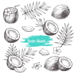 Foto op Plexiglas Vector coconut hand drawn sketch with palm leaf.  Sketch vector tropical food illustration. Vintage style © Rina Oshi
