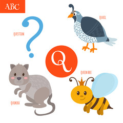 Letter Q. Cartoon alphabet for children. Quail, question, queen