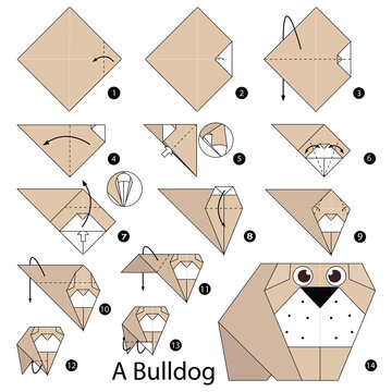 Step by step instructions how to make origami A Bulldog.
