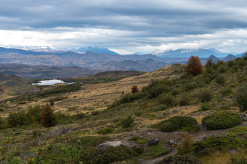 Fototapeta na wymiar Torres del Paine VII