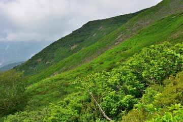 Naklejka premium 夏の八方尾根